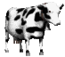 user_baaa02bi5.gif